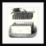 One of the 200 Groups that Make Up Wollaston's Battery Built for Davy at the Royal Institute in London by Anonymous