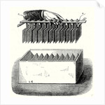 One of the 200 Groups that Make Up Wollaston's Battery Built for Davy at the Royal Institute in London by Anonymous