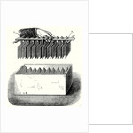 One of the 200 Groups that Make Up Wollaston's Battery Built for Davy at the Royal Institute in London by Anonymous