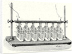 Wollaston's Battery in Action by Anonymous