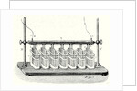 Wollaston's Battery in Action by Anonymous