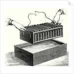 Muncke's Battery by Anonymous