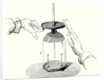 Volta's Fundemental Experiment by Anonymous