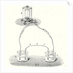 Faraday's Experiment Showing that the Contact of Two Metals Do Not Develop an Electric Current by Anonymous