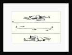 Magnetic Current of a Person by Anonymous