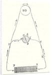 Faraday's Induction Machine by Anonymous