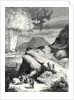 Destruction of Fort Pei-Ho in China by the Ignition of a Mine by Ruhmkorff's Machine by Anonymous