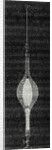 Electric Light Within Laminated Glass by Anonymous