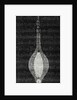 Electric Light Within Laminated Glass by Anonymous