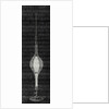 Electric Light Within Laminated Glass by Anonymous