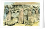 Aberdeen UK Herring Cleaners at Work 1885 by Anonymous