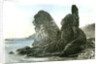 Aberdeen the Rocks at Muchalls 1885 UK by Anonymous