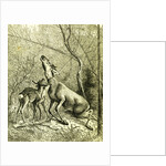 Hunt Austria 1887 by Anonymous