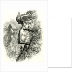 Yosemite Valley Upon Glacier Point USA 1891 by Anonymous