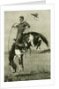 A Bronco Buster Riding a Bucking Horse 1891 USA by Anonymous