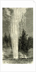 The Splendid Geyser in Action 1891 USA by Anonymous