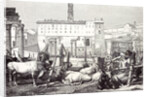 Rome Italy 1875 The Roman Forum by Anonymous