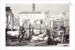 Rome Italy 1875 The Roman Forum by Anonymous