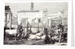 Rome Italy 1875 The Roman Forum by Anonymous