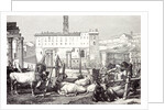 Rome Italy 1875 The Roman Forum by Anonymous
