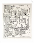 Rome Italy 1875 Plan of the Excavations on the Palatine by Anonymous