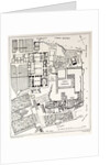 Rome Italy 1875 Plan of the Excavations on the Palatine by Anonymous