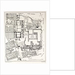 Rome Italy 1875 Plan of the Excavations on the Palatine by Anonymous