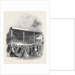 The Concert Monstre, at the Surrey Zoological Gardens, 1845 by Anonymous