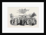 Horticultural Fete in the Grounds of Downing College, Cambridge by Anonymous