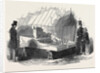 Model House and Garden, Horticultural Society. by Anonymous