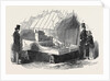 Model House and Garden, Horticultural Society. by Anonymous
