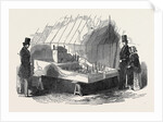 Model House and Garden, Horticultural Society. by Anonymous