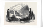 Model House and Garden, Horticultural Society. by Anonymous
