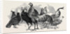 Polish Fowls by Anonymous