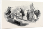 Firing the Train by the Galvanic Battery by Anonymous