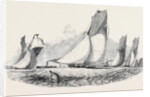 The Royal Thames Yacht Club Match; Mystery, Antagonist, Belvidere, Vixen, Prima Donna by Anonymous
