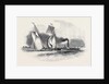 R.T.Y.C. Match, the Antagonist and Mystery Towed Off by the Waterman Steamer by Anonymous
