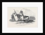 R.T.Y.C. Match, the Antagonist and Mystery Towed Off by the Waterman Steamer by Anonymous