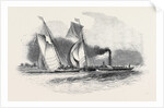 R.T.Y.C. Match, the Antagonist and Mystery Towed Off by the Waterman Steamer by Anonymous