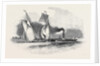 R.T.Y.C. Match, the Antagonist and Mystery Towed Off by the Waterman Steamer by Anonymous