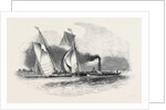 R.T.Y.C. Match, the Antagonist and Mystery Towed Off by the Waterman Steamer by Anonymous