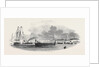 Her Majesty Landing at the Isle of Wight by Anonymous