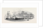 Her Majesty Landing at the Isle of Wight by Anonymous