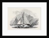 Royal Thames Yacht Club, Match for the Belvidere Cup; Belvidere, Blue Belle, Ino, Champion, Mystery, Antagonist by Anonymous