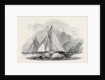 Royal Thames Yacht Club, Match for the Belvidere Cup; Belvidere, Blue Belle, Ino, Champion, Mystery, Antagonist by Anonymous