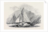 Royal Thames Yacht Club, Match for the Belvidere Cup; Belvidere, Blue Belle, Ino, Champion, Mystery, Antagonist by Anonymous