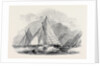 Royal Thames Yacht Club, Match for the Belvidere Cup; Belvidere, Blue Belle, Ino, Champion, Mystery, Antagonist by Anonymous