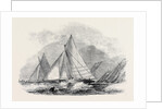 Royal Thames Yacht Club, Match for the Belvidere Cup; Belvidere, Blue Belle, Ino, Champion, Mystery, Antagonist by Anonymous