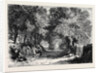 Sir Roger De Coverley with the Gipsies by Anonymous