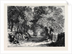 Sir Roger De Coverley with the Gipsies by Anonymous